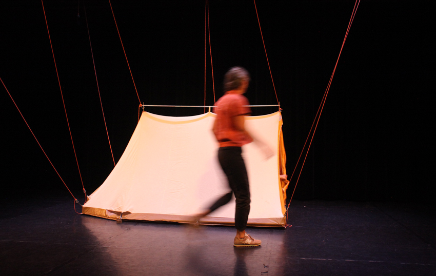 qui plantait 3pf qui plantait des arbres