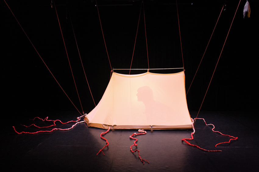 qui plantait des arbres